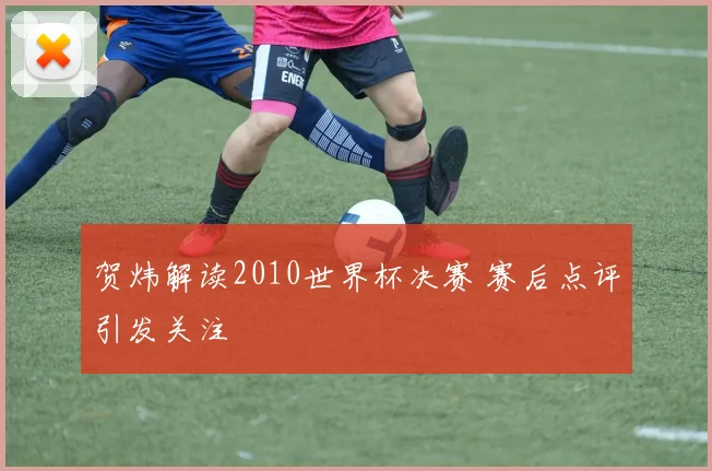 贺炜解读2010世界杯决赛 赛后点评引发关注