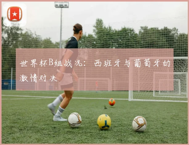 世界杯B组战况：西班牙与葡萄牙的激情对决