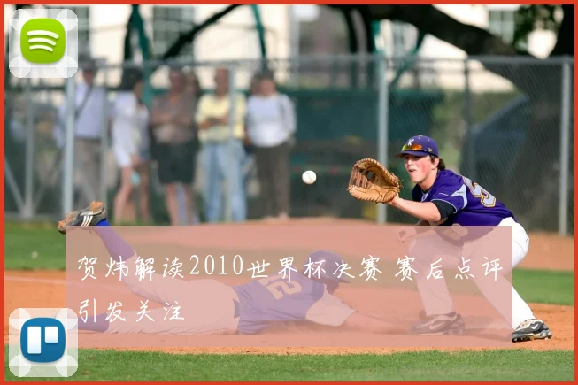 贺炜解读2010世界杯决赛 赛后点评引发关注