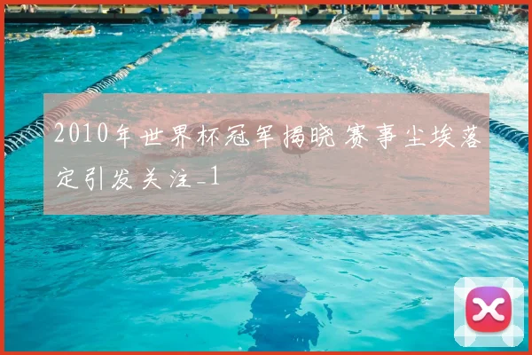 2010年世界杯冠军揭晓 赛事尘埃落定引发关注_1